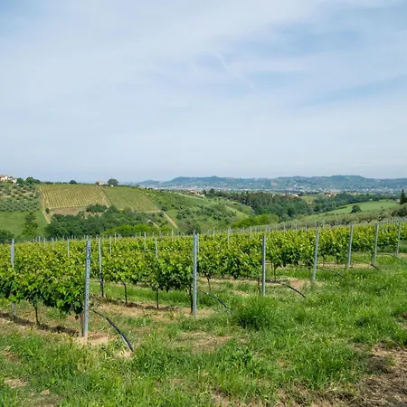 Torretta By Interhome *