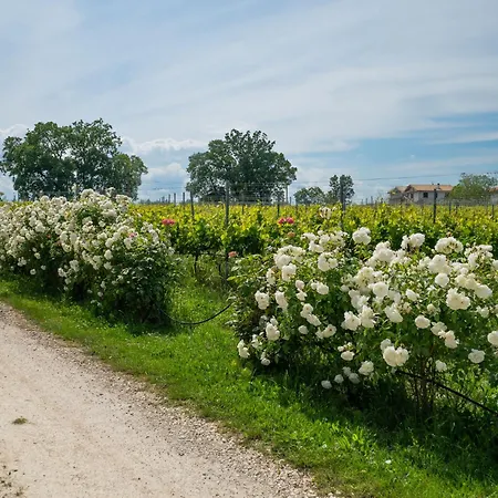 公寓 Torretta By Interhome 圣安杰洛城