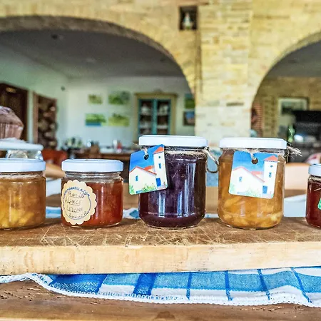 Torretta By Interhome Lägenhet Citta Sant'Angelo