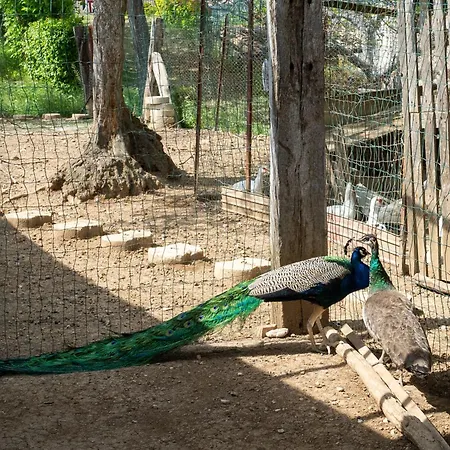 Torretta By Interhome