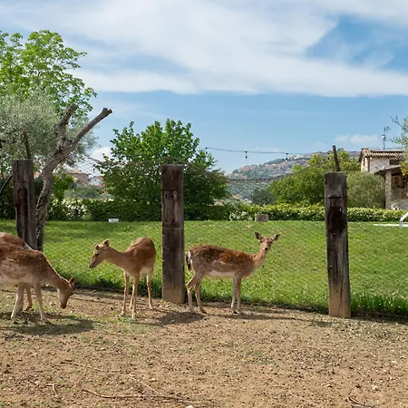 Torretta By Interhome 公寓 *