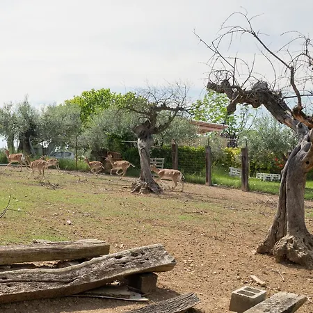 Lägenhet Torretta By Interhome Citta Sant'Angelo