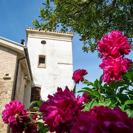 Torretta By Interhome 公寓