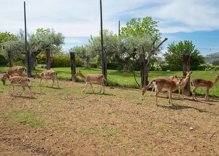 Torretta By Interhome Διαμέρισμα