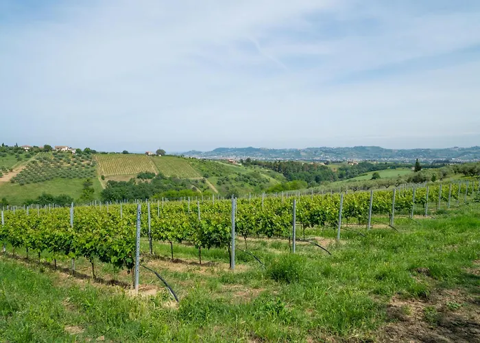 Torretta By Interhome *