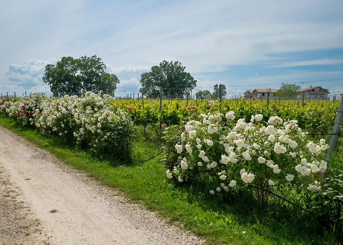 Апартаменты Torretta By Interhome Читта Сань Анджело