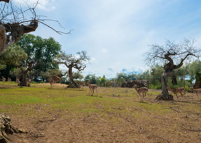 Torretta By Interhome *