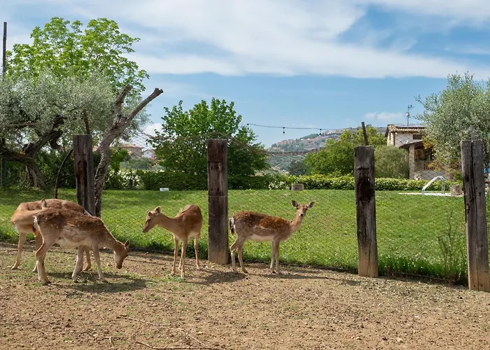 Torretta By Interhome Διαμέρισμα *